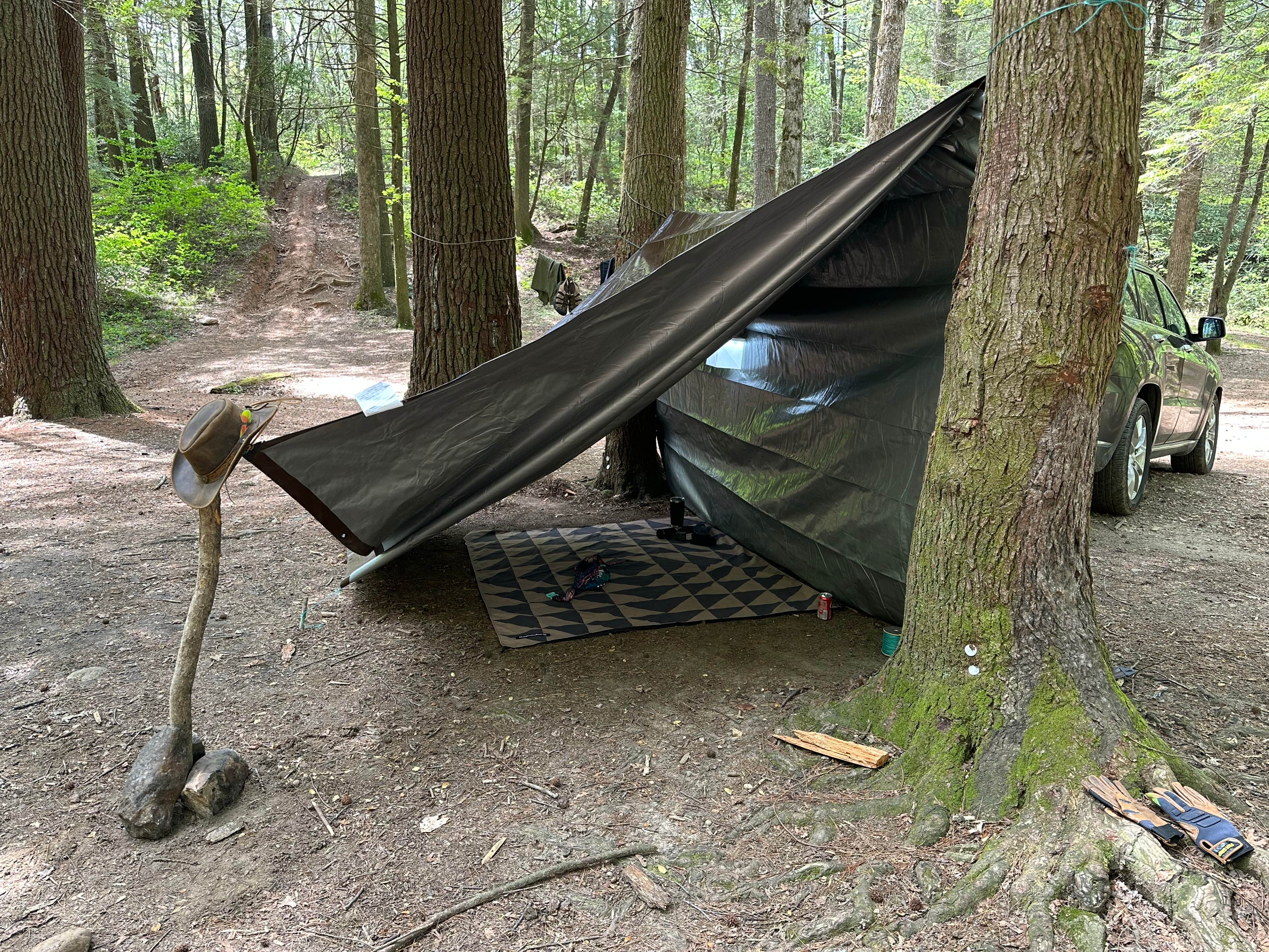 Camping near Amicalola Falls State Park Camping: Jones Creek Dispersed Campground, Chattahoochee-Oconee National Forest, Georgia