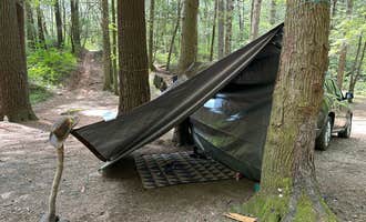 Camping near Cowrock Mountain: Jones Creek Dispersed Campground, Chattahoochee-Oconee National Forest, Georgia