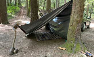 Billie P.'s photo at Jones Creek Dispersed Campground near Dahlonega, GA