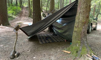 Camping near Cowrock Mountain: Jones Creek Dispersed Campground, Chattahoochee-Oconee National Forest, Georgia