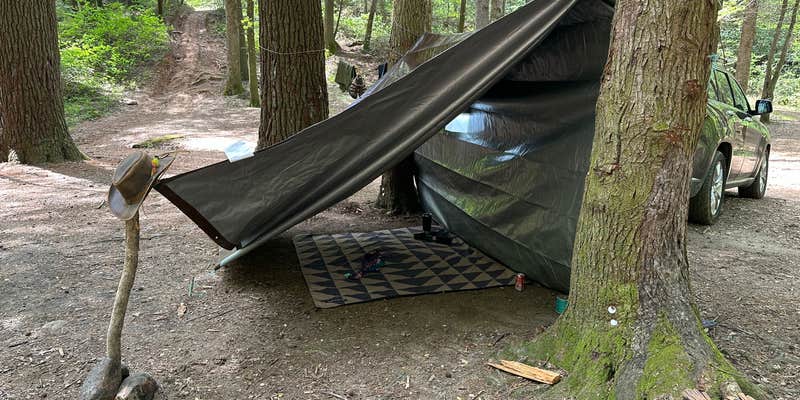 Camper submitted image from Jones Creek Dispersed Campground