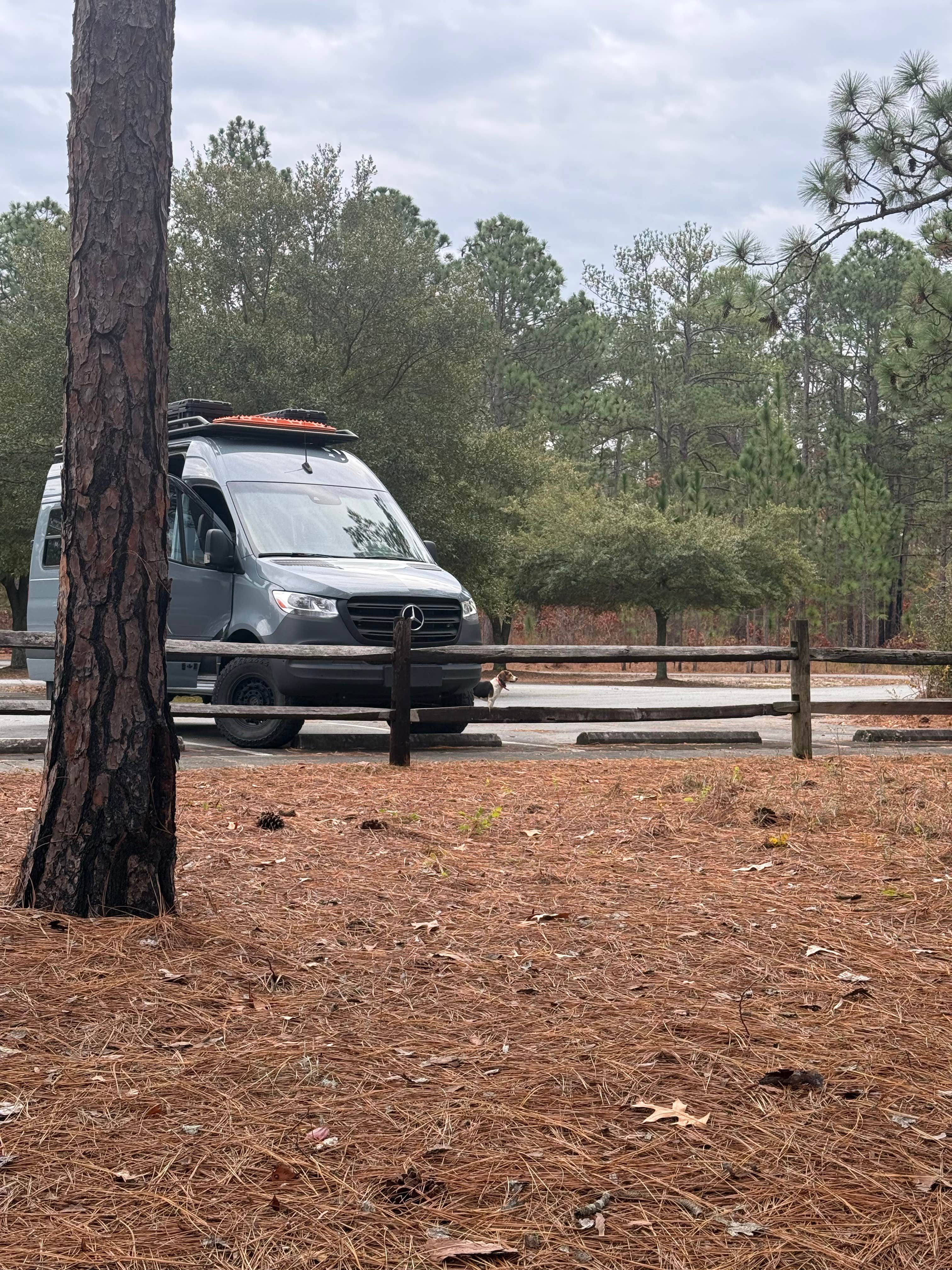 Camper submitted image from Jones Lake Family Campground - 1