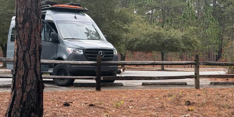 Camper submitted image from Jones Lake Family Campground