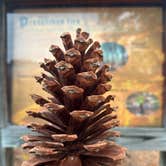 Review photo of Jones Lake Family Campground by @57overlander C., November 26, 2025