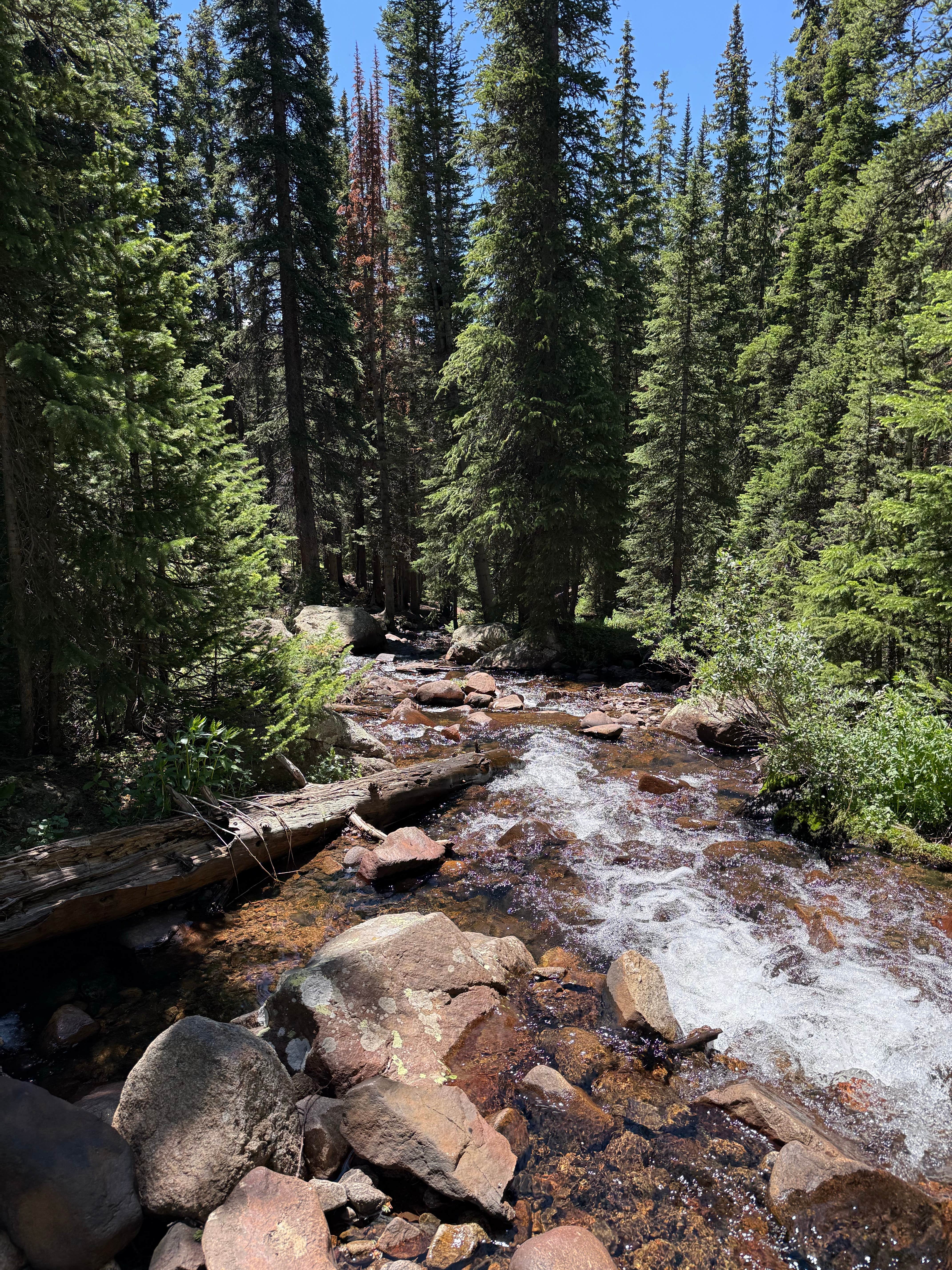 Camping near Kinney Creek: Jones Pass, Winter Park, Colorado
