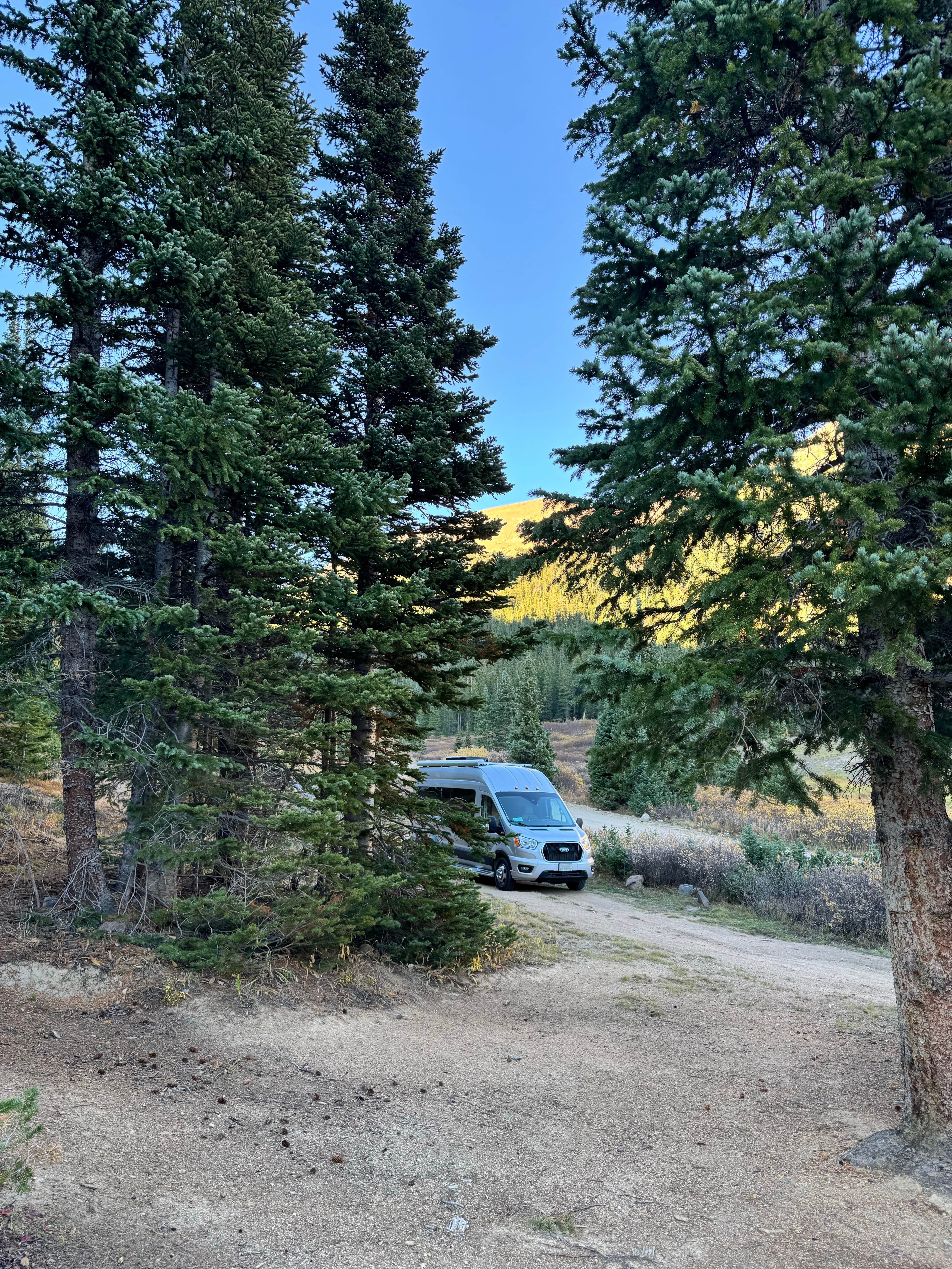 Sarah S.'s photo of camping with pets at Jones Pass near Empire, CO