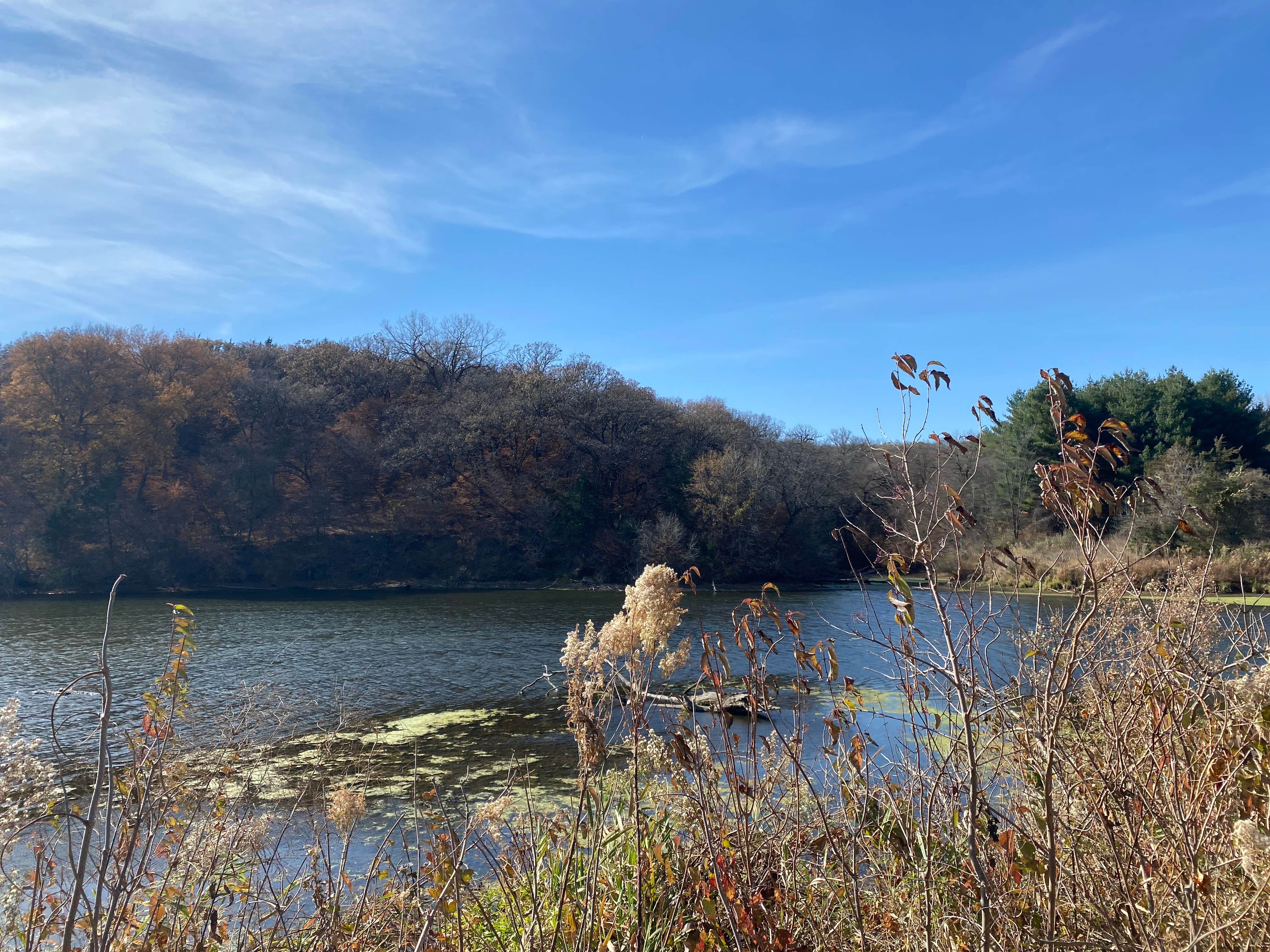 Camper-submitted photo at Jones Pond near Little Sioux, IA