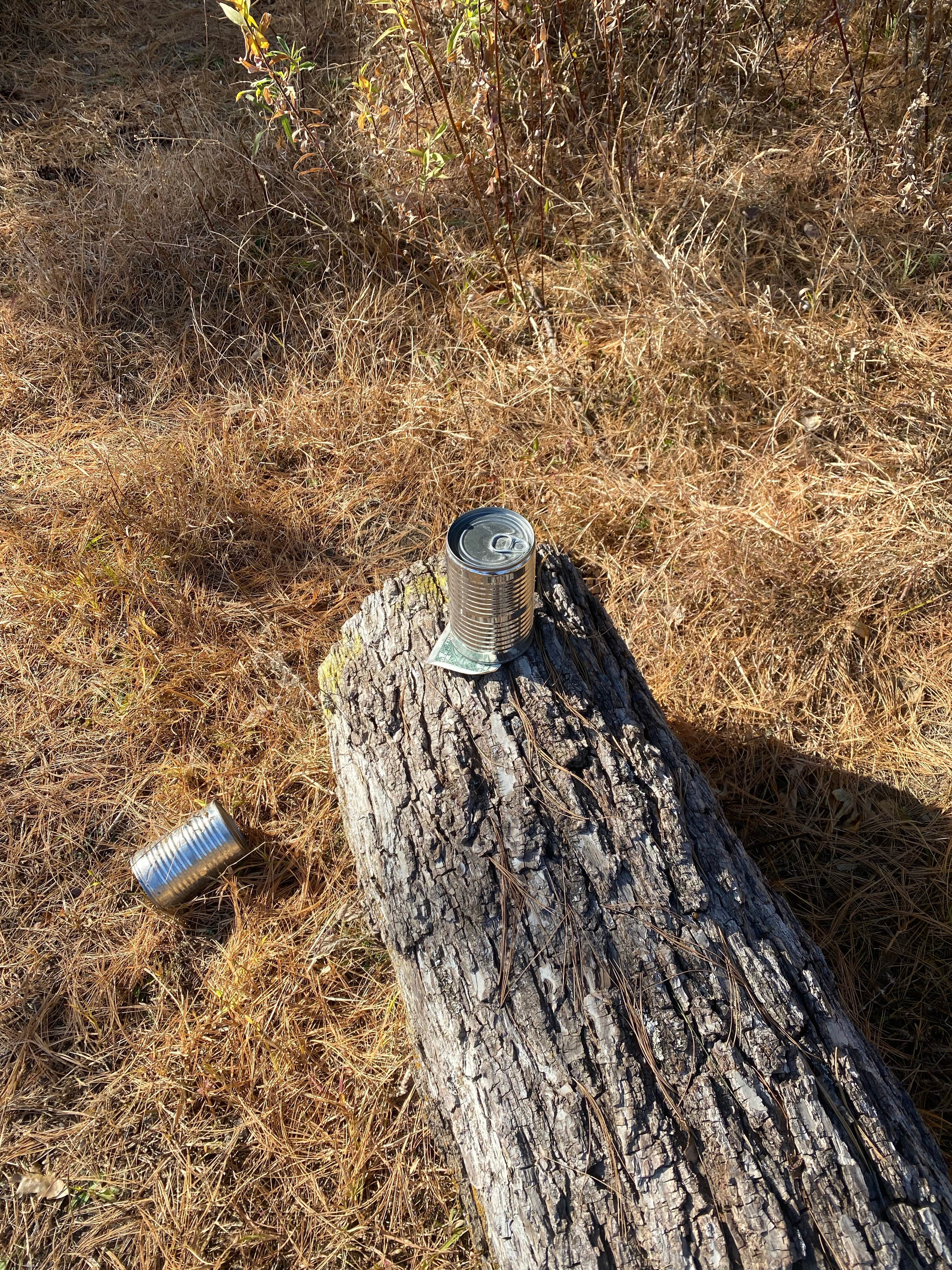 Camper-submitted photo at Jones Pond near Little Sioux, IA