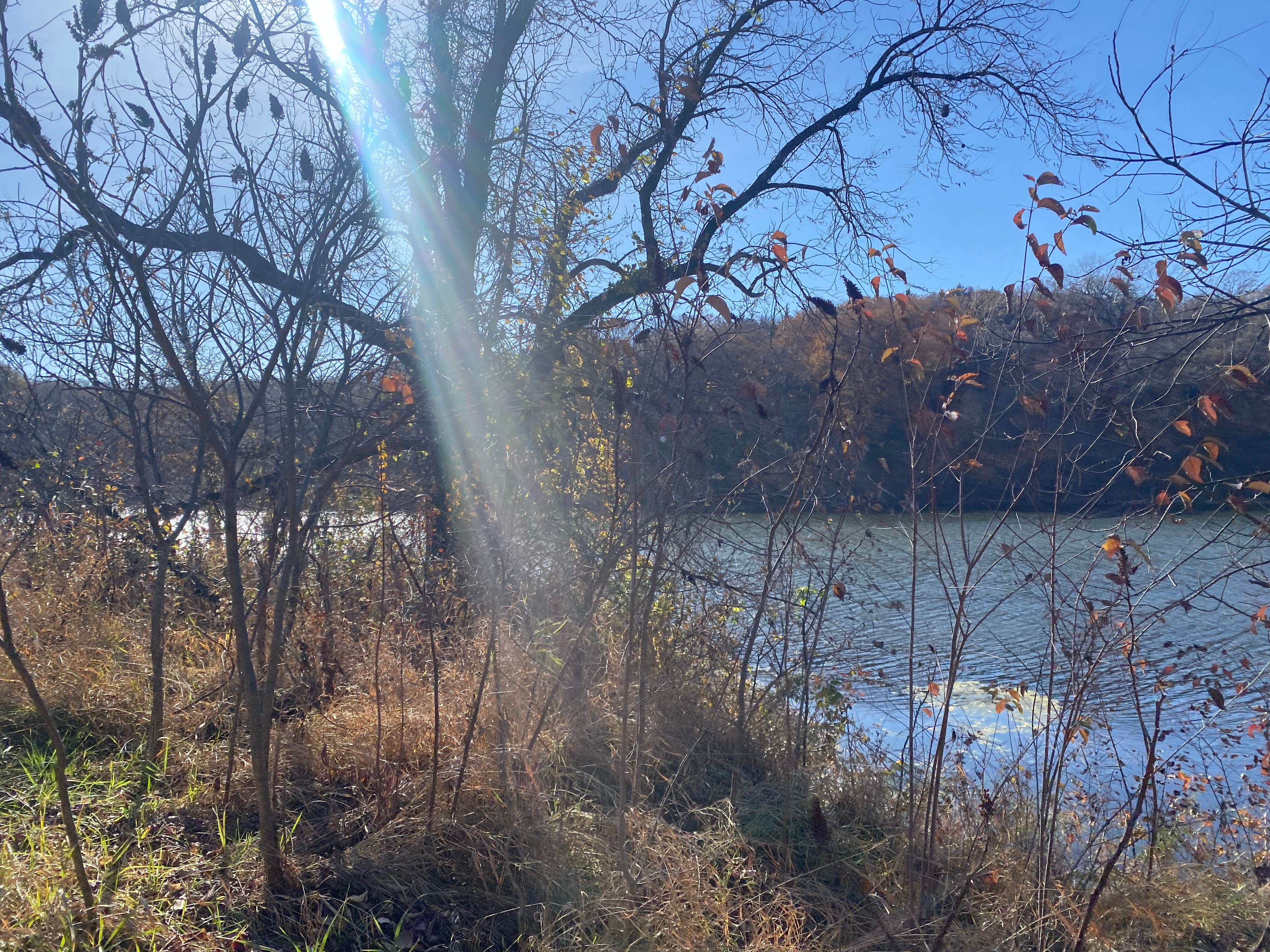 Camper-submitted photo at Jones Pond near Little Sioux, IA