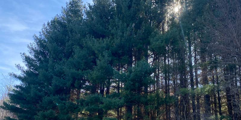 Camper submitted image from Jones Pond