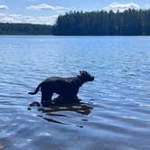 Review photo of Jones Pond NYSDEC Primitive Campsites by Tyler C., July 13, 2024