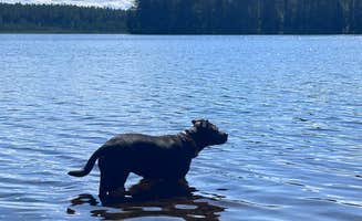 Tyler C.'s photo of camping with pets at Jones Pond NYSDEC Primitive Campsites near Tupper Lake, NY