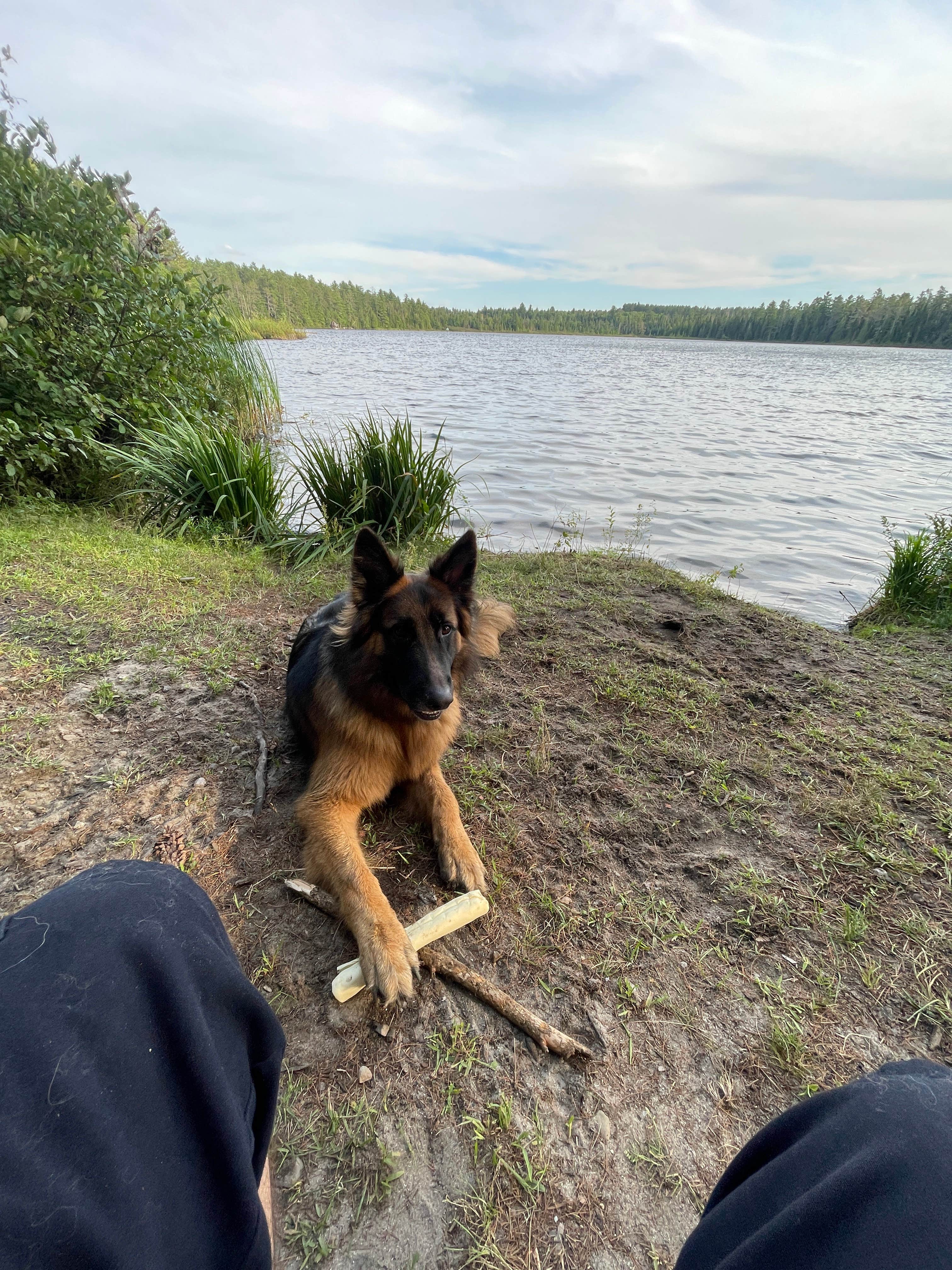 Robert K.'s photo of camping with pets at Jones Pond NYSDEC Primitive Campsites near Winthrop, NY