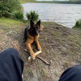 Review photo of Jones Pond NYSDEC Primitive Campsites by Robert K., August 24, 2025