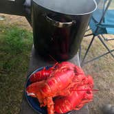 Review photo of Jonesport Campground by Debbie K., September 6, 2026