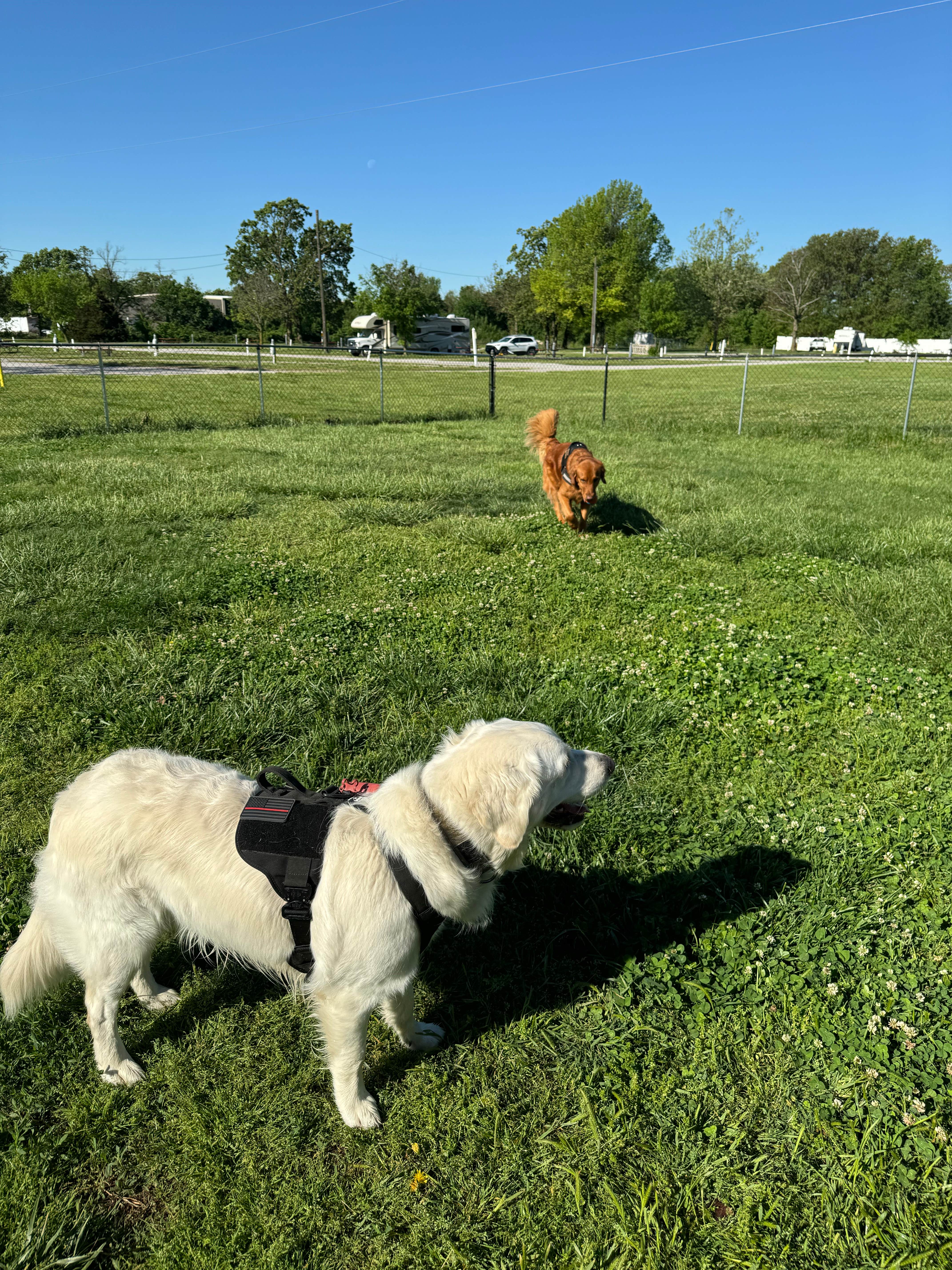 Camper-submitted photo at Joplin KOA near Sheldon, MO