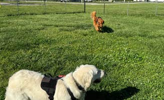 Kelsey S.'s photo of camping with pets at Joplin KOA near Webb City, MO