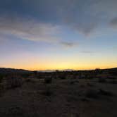 Review photo of Joshua tree BLM by entrance by Andy A., February 2, 2026