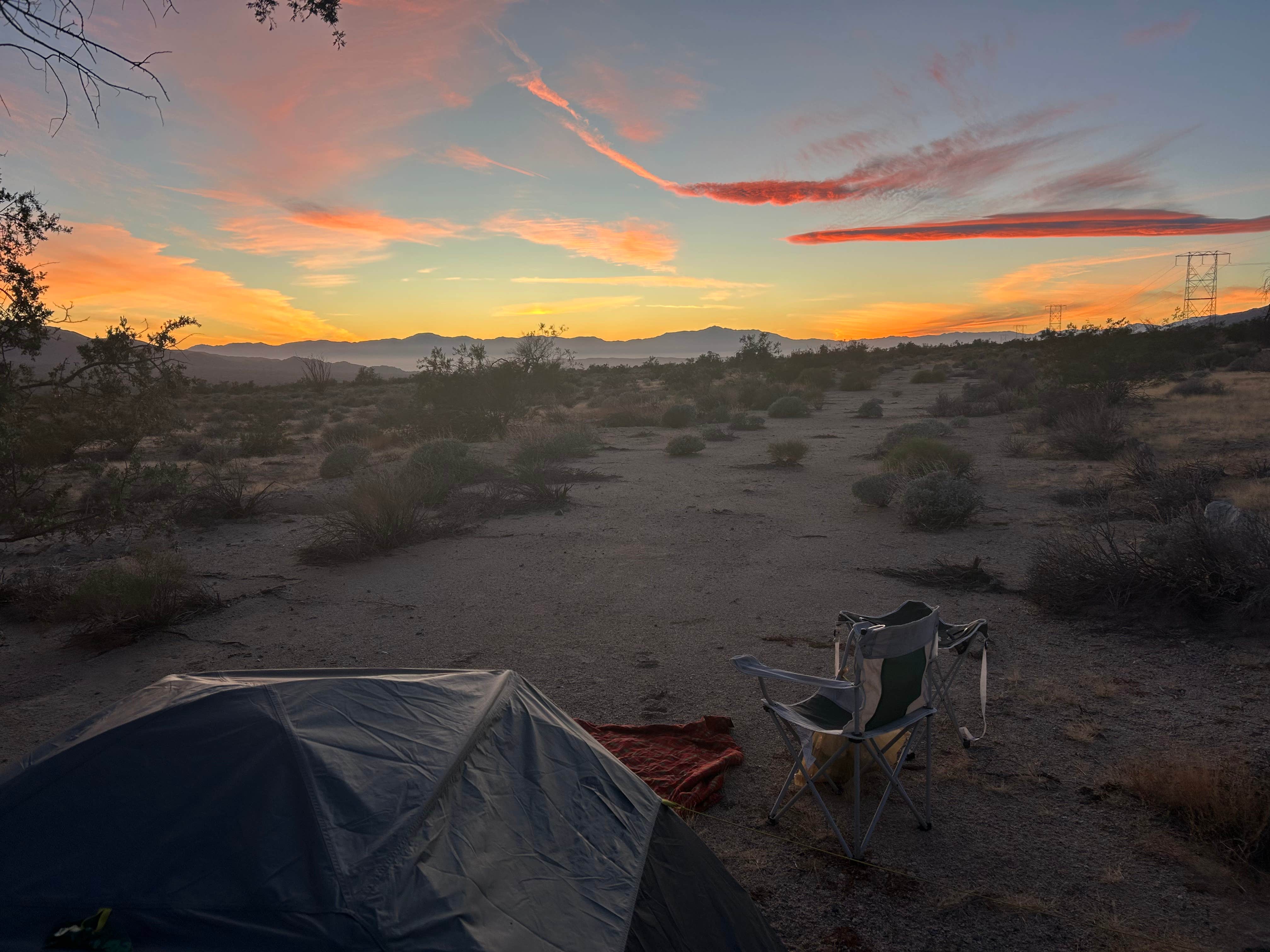 Camper-submitted photo at Joshua tree BLM by entrance near Indio, CA