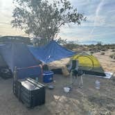 Review photo of Joshua tree BLM by entrance by Scott S., December 21, 2025