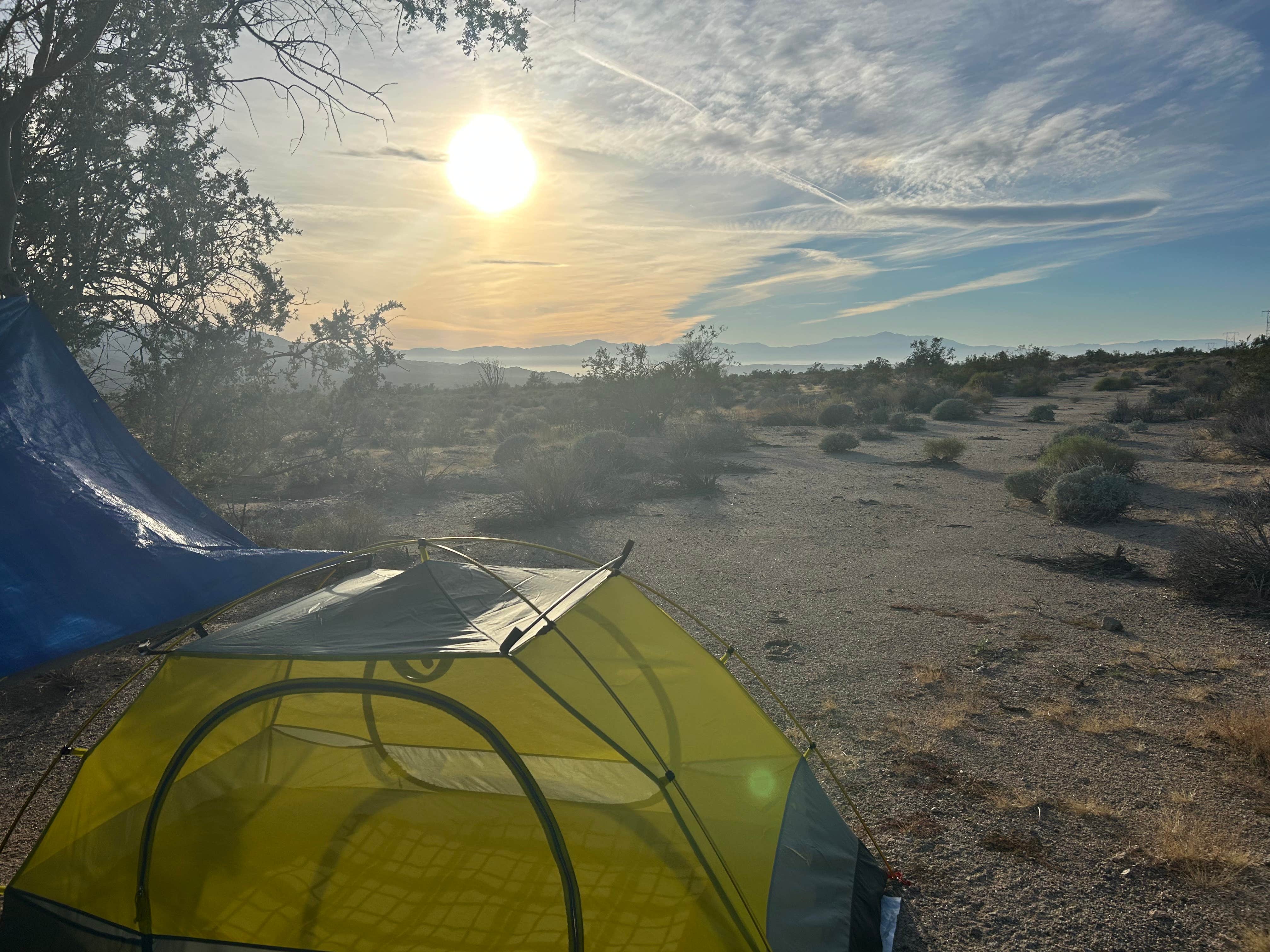 Camper-submitted photo at Joshua tree BLM by entrance near Indio, CA