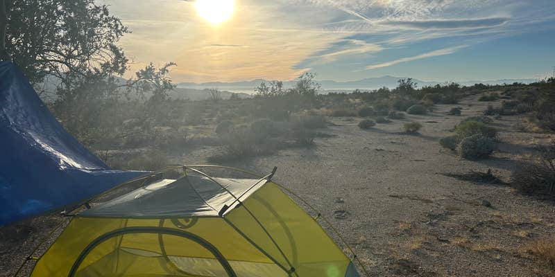 Camper submitted image from Joshua tree BLM by entrance