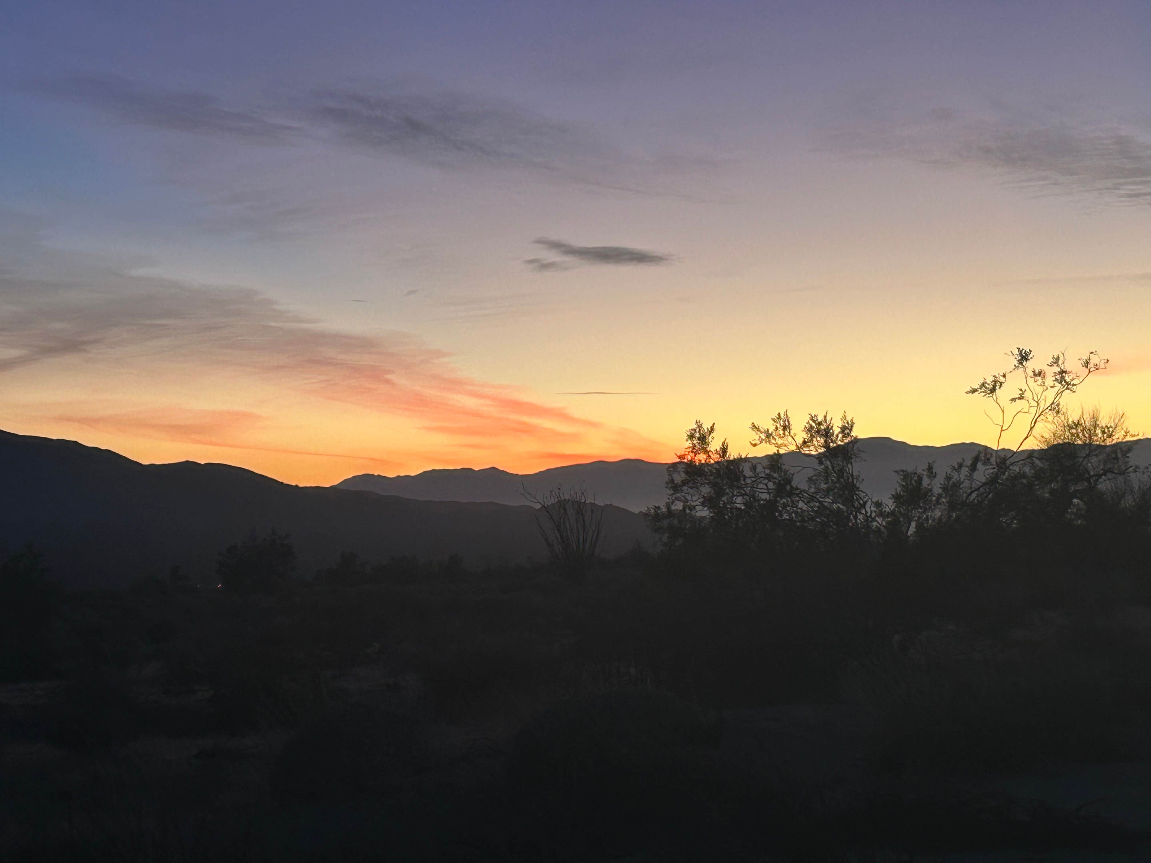 Camper-submitted photo at Joshua tree BLM by entrance near Indio, CA