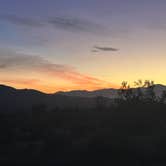 Review photo of Joshua tree BLM by entrance by Scott S., December 21, 2025