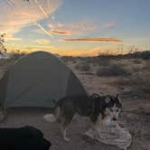 Review photo of Joshua tree BLM by entrance by Scott S., December 21, 2025