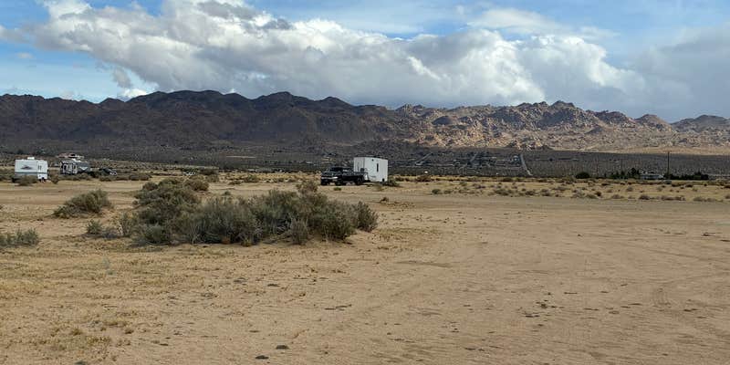 Camper submitted image from Joshua Tree BLM Dispersed Campground