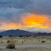 Review photo of Joshua Tree BLM Dispersed Campground by Vickie K., April 26, 2026