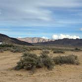 Review photo of Joshua Tree BLM Dispersed Campground by Vickie K., April 26, 2026