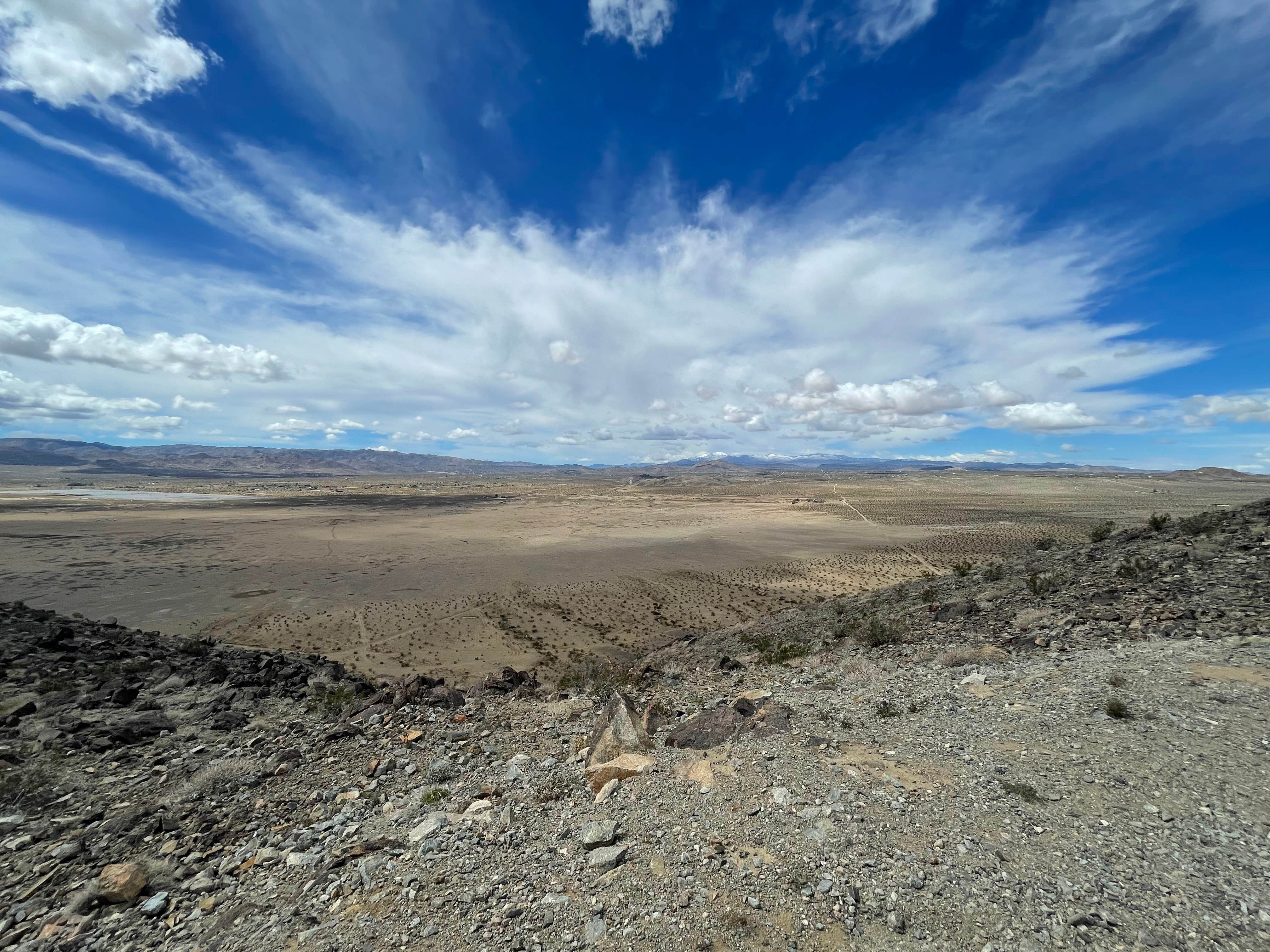 Camper submitted image from Joshua Tree Hilltop - 1