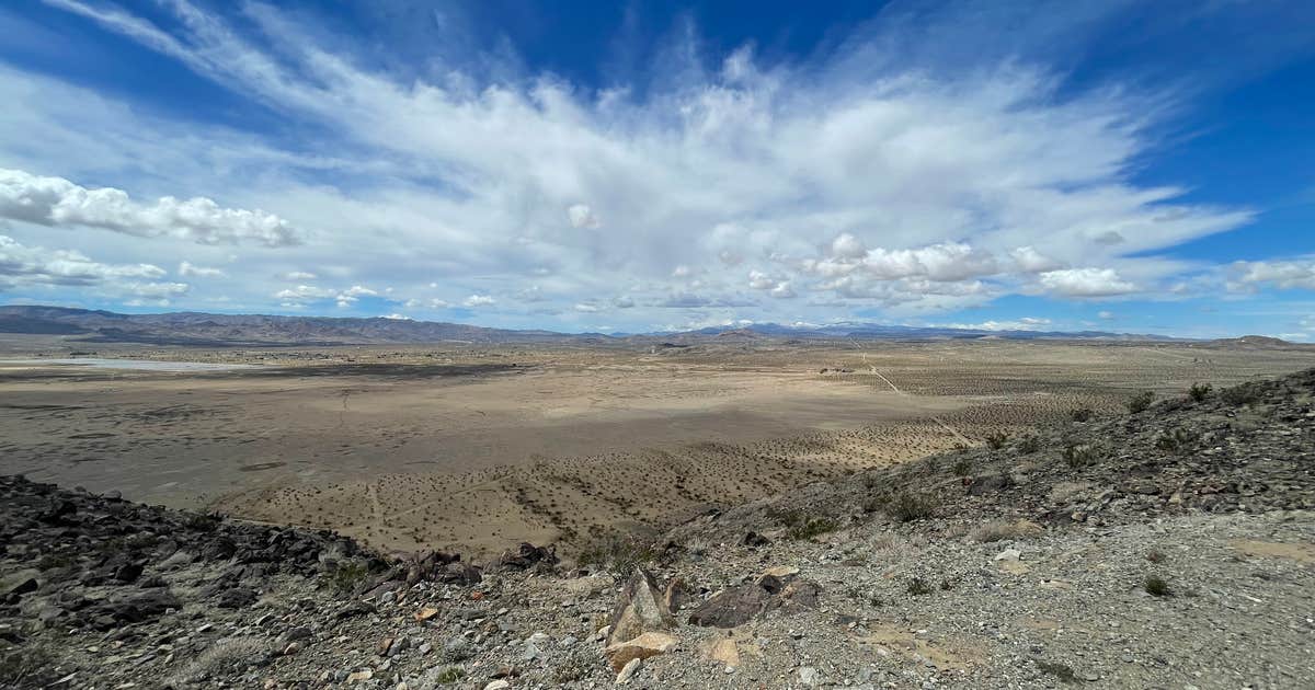 Joshua Tree Hilltop