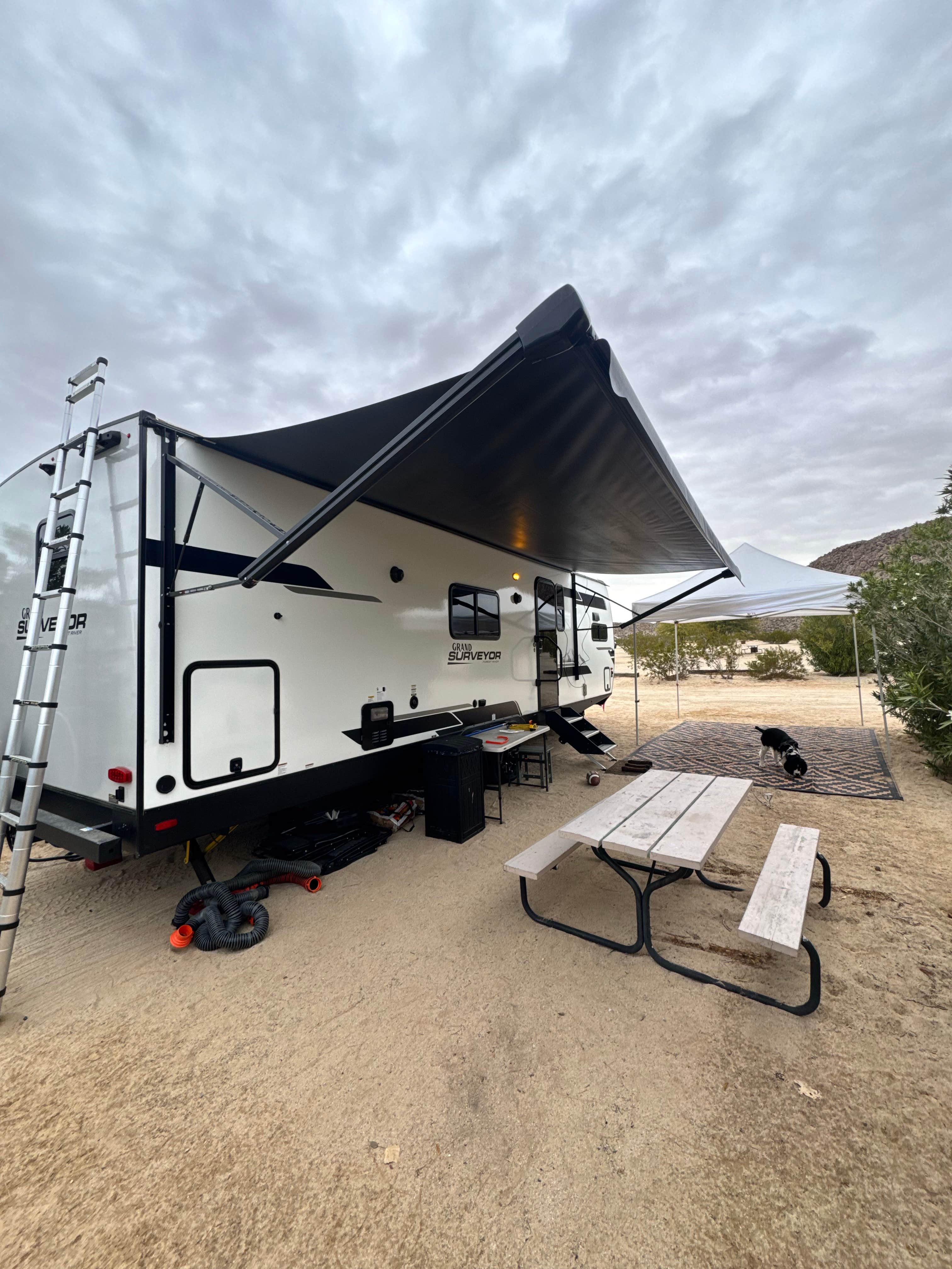 W. S.'s photo of camping with pets at Joshua Tree Lake RV & Campground near Pioneertown, CA