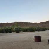 Review photo of Joshua Tree Lake RV & Campground by Lynn , July 10, 2026