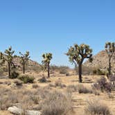 Review photo of Joshua Tree Lake RV & Campground by Lynn , July 10, 2026