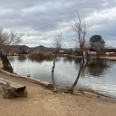 Review photo of Joshua Tree Lake RV & Campground by Garrett L., January 23, 2024