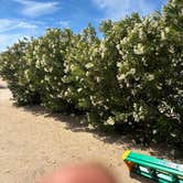 Review photo of The Cabins at Joshua Tree Lake by Vickie K., April 24, 2026