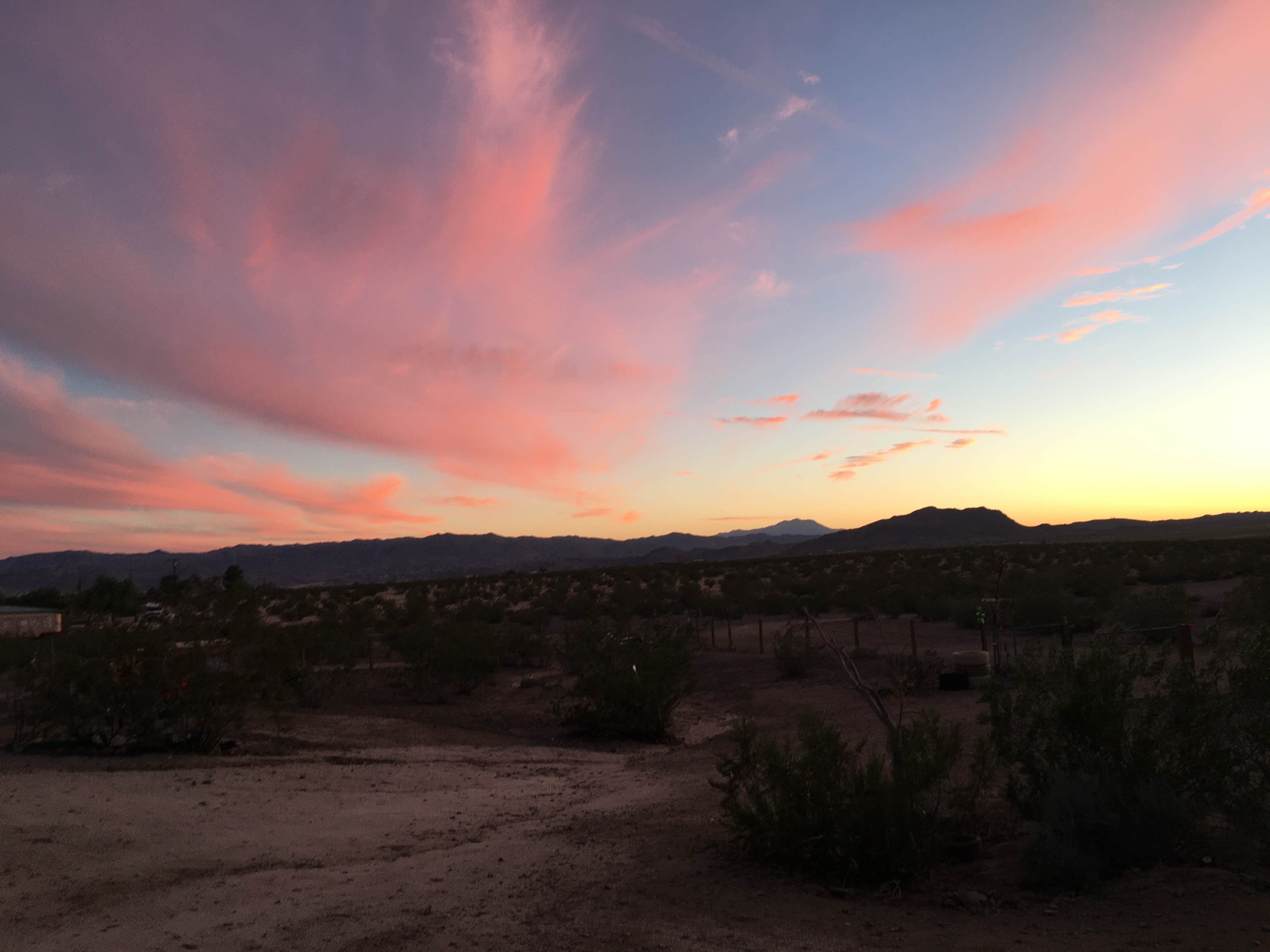 Chandra B.'s photo of a dispersed camping area at Joshua Tree North BLM near Idyllwild, CA