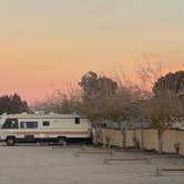 Review photo of Joshua Tree RV & Campground by Berkeley B., January 14, 2026