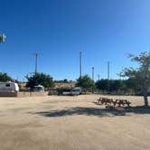 Review photo of Joshua Tree RV & Campground by Brittany , June 5, 2026