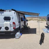 Review photo of Joshua Tree South Dispersed Camping by Ciara W., August 6, 2024