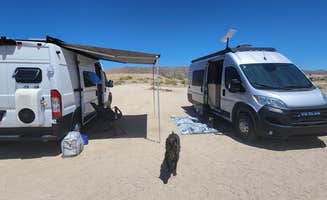 Ciara W.'s photo of camping with pets at Joshua Tree South Dispersed Camping near Joshua Tree National Park