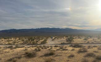 Sarah M.'s photo of a dispersed camping area at Joshua Tree South Dispersed Camping near Joshua Tree National Park