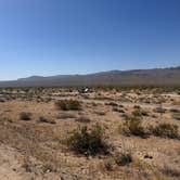 Review photo of Joshua Tree South Dispersed Camping by Ciara W., August 6, 2024