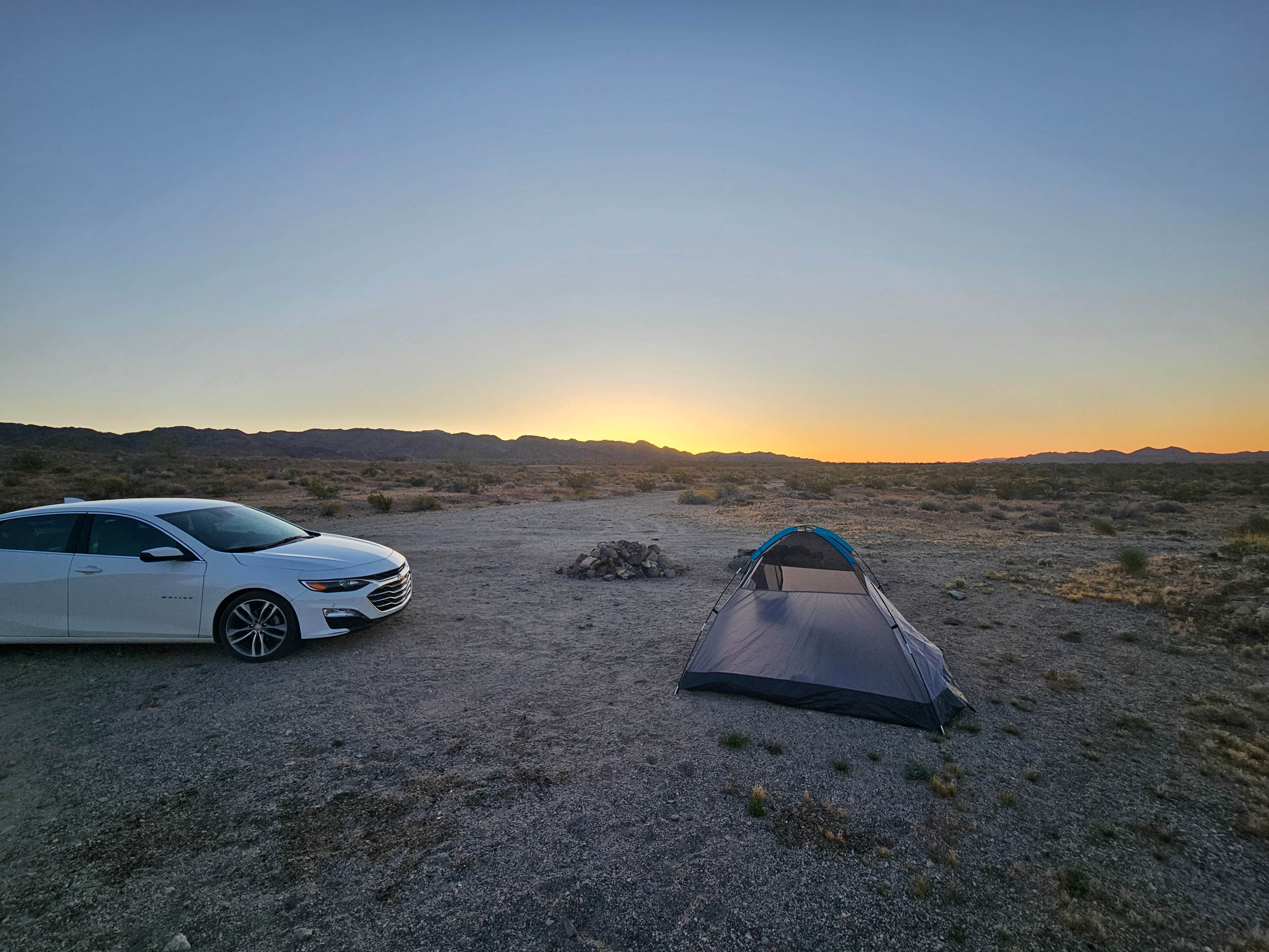 Camper submitted image from Joshua Tree South Dispersed Camping - 1