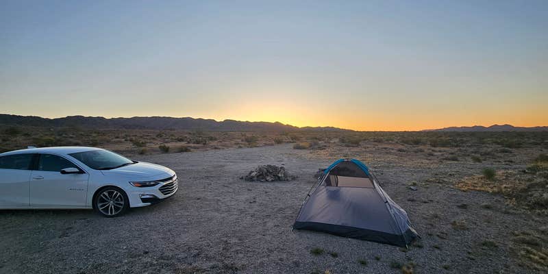 Camper submitted image from Joshua Tree South Dispersed Camping