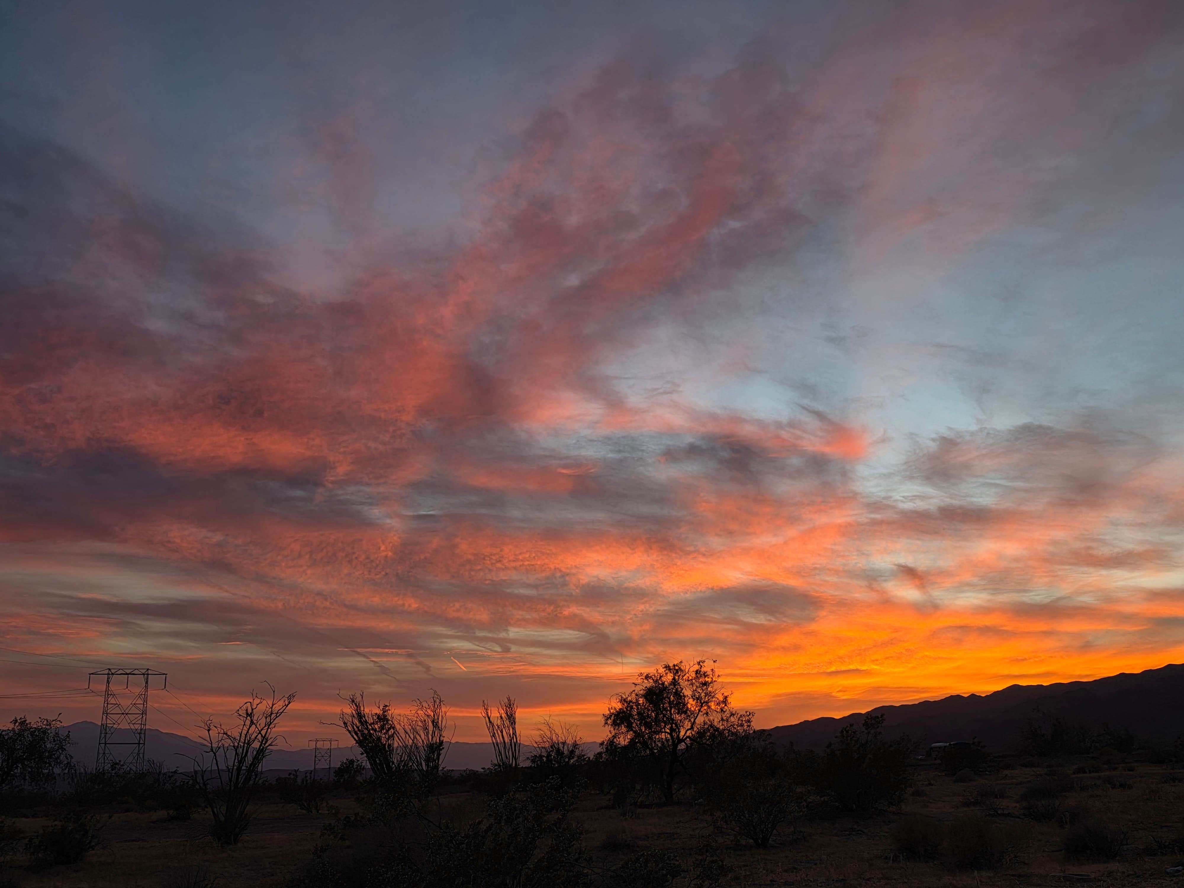 Camper-submitted photo at Joshua Tree South Entrance near Thermal, CA