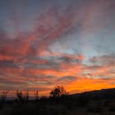 Review photo of Joshua Tree South Entrance by Andrew H., April 26, 2026